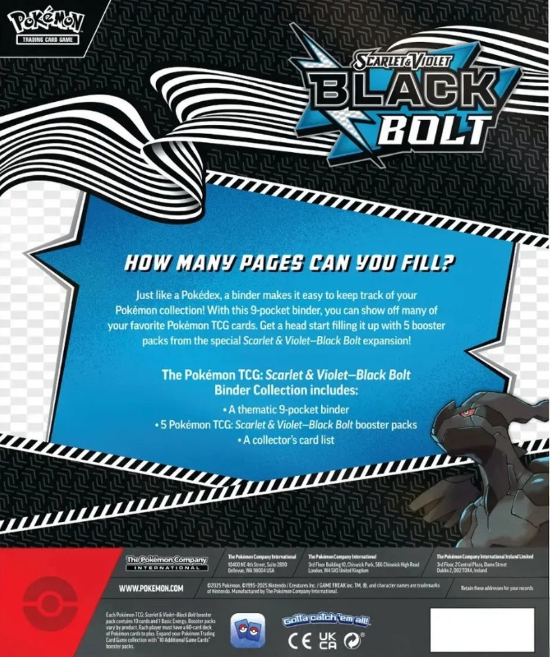 Pokémon TCG Scarlet & Violet—Black Bolt Binder